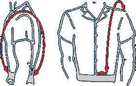 Bullet Resistant Vests Measurement Guide