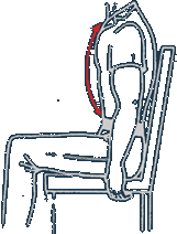 Bullet Resistant Vests Measurement Guide