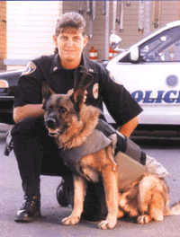 K9 Bullet Resistant Vests